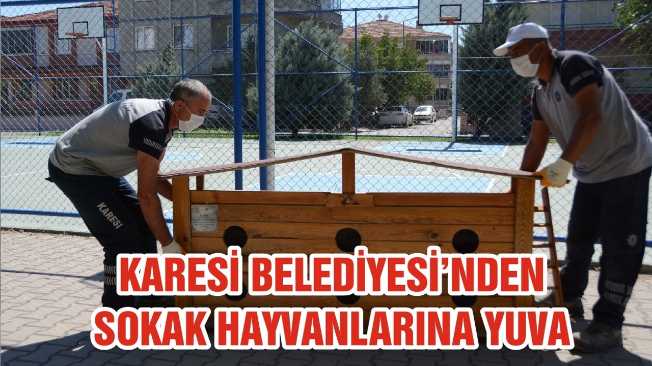 KARESİ BELEDİYESİ’NDEN SOKAK HAYVANLARINA YUVA