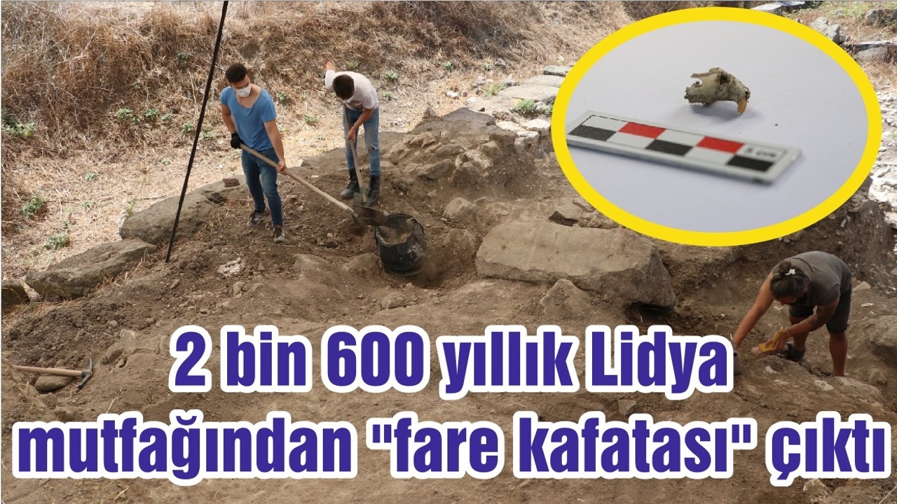 2 bin 600 yıllık Lidya mutfağından "fare kafatası" çıktı