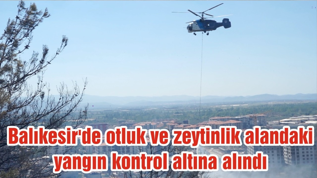 Balıkesir'de otluk ve zeytinlik alandaki yangın kontrol altına alındı
