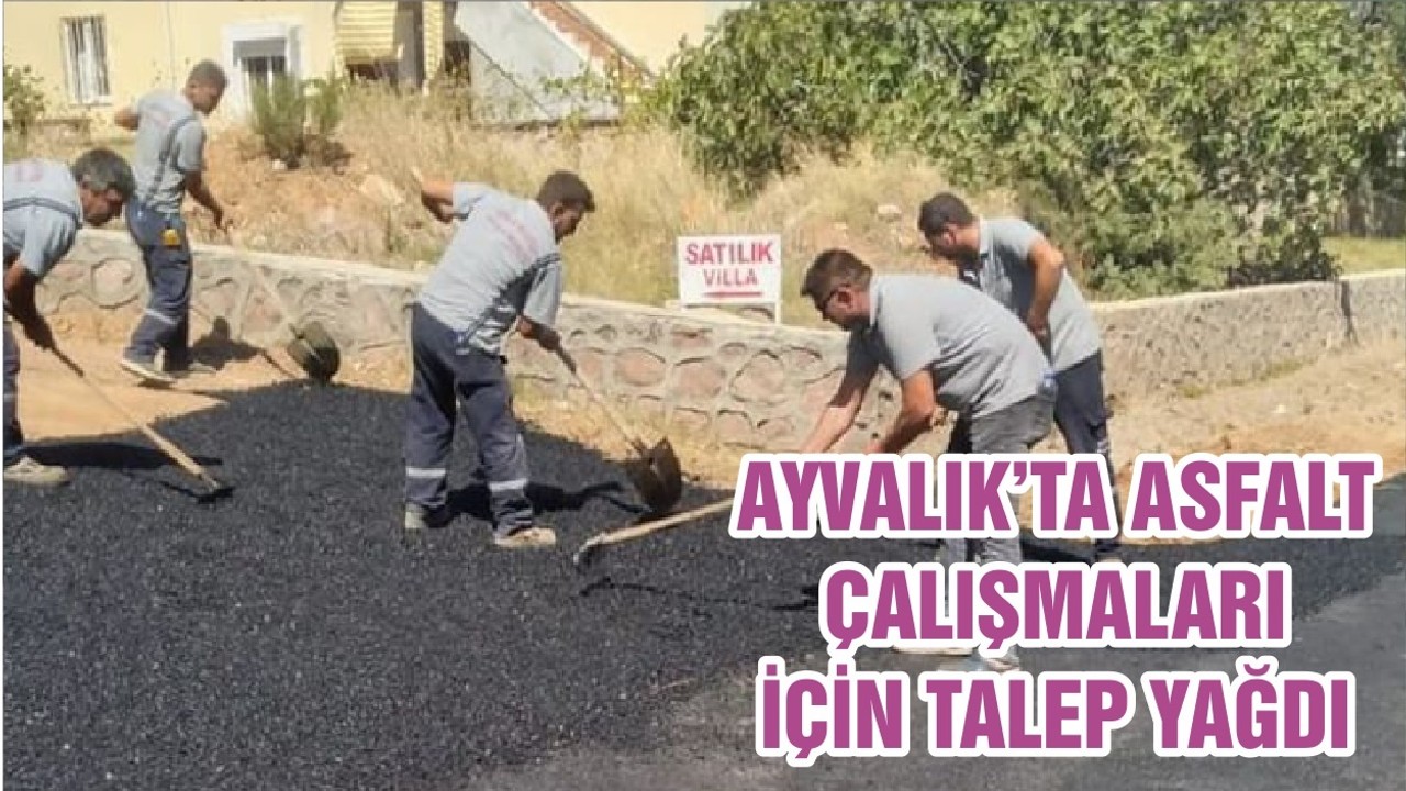 AYVALIK’TA ASFALT ÇALIŞMALARI İÇİN TALEP YAĞDI