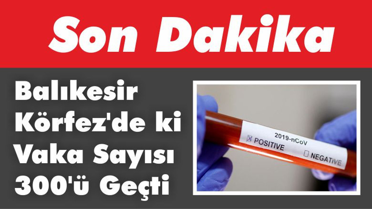 Balıkesir Körfez’de ki Vaka Sayısı 300’ü Geçti