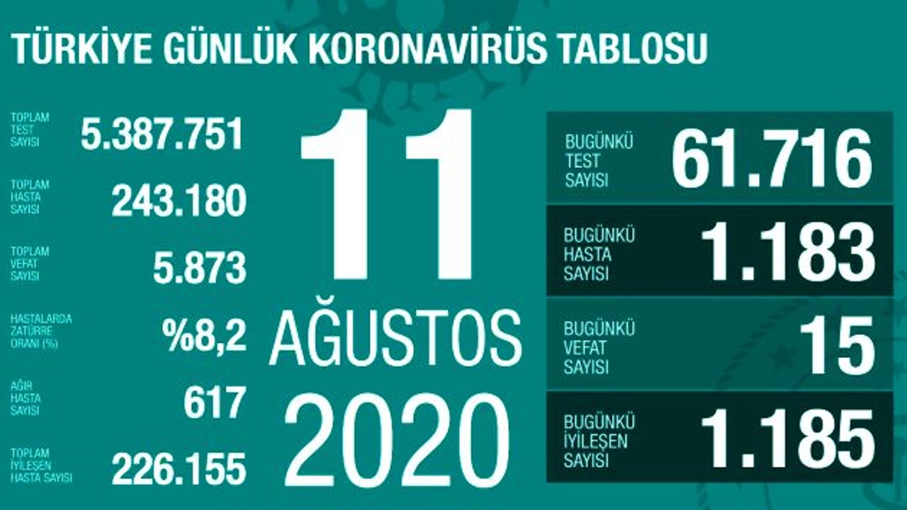 Türkiye'de 11 Ağustos günü koronavirüs kaynaklı 15 can kaybı, 1183 yeni vaka tespit edildi