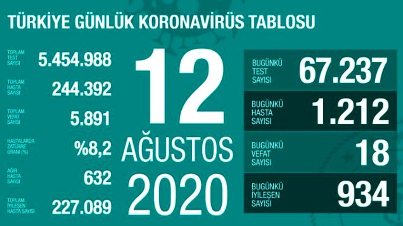 Türkiye'de 12 Ağustos günü koronavirüs kaynaklı 18 can kaybı, 1212 yeni vaka tespit edildi