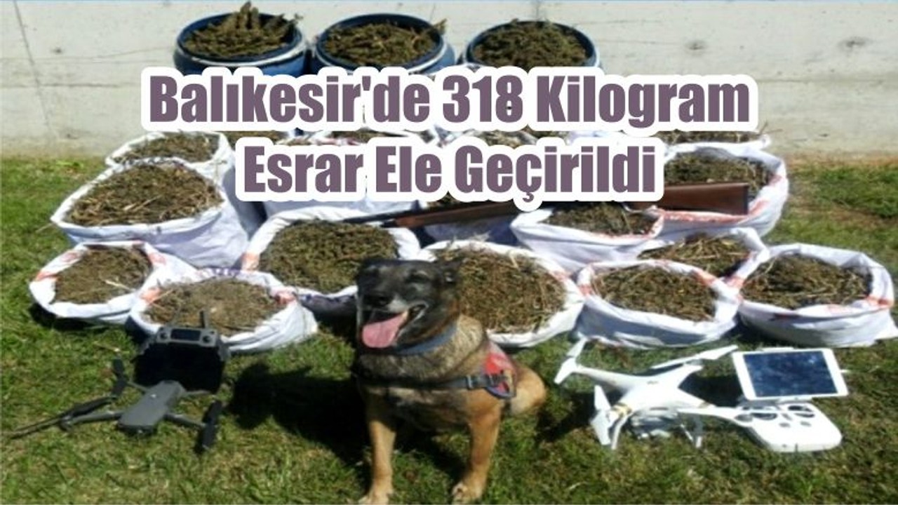 Balıkesir’de 318 Kilogram Esrar Ele Geçirildi