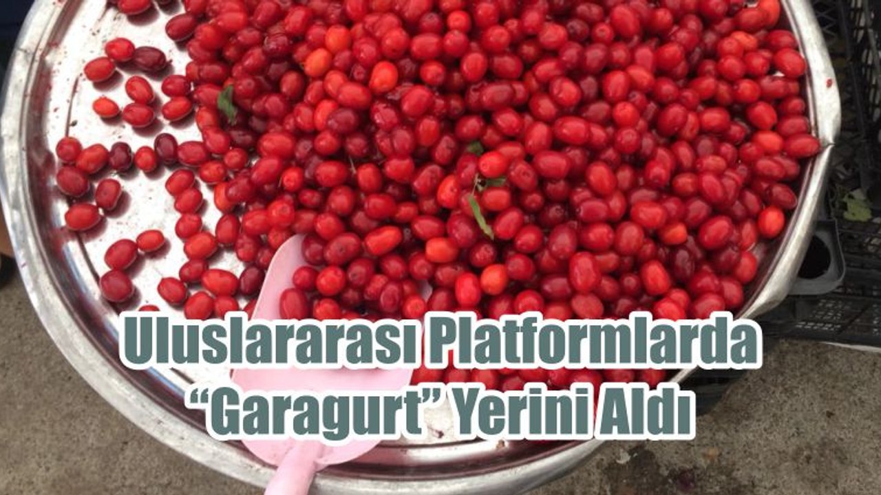 Uluslararası Platformlarda “Garagurt” Yerini Aldı