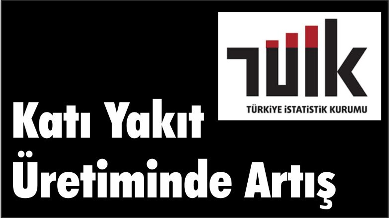 KATI YAKIT TEMMUZ AYI VERİLERİ AÇIKLANDI