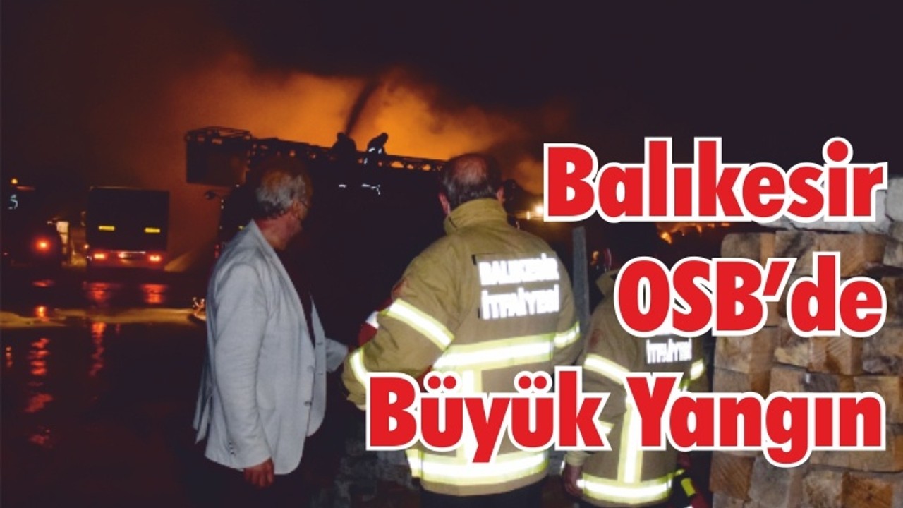 Balıkesir'de Atık Kağıt Tesisi Yandı