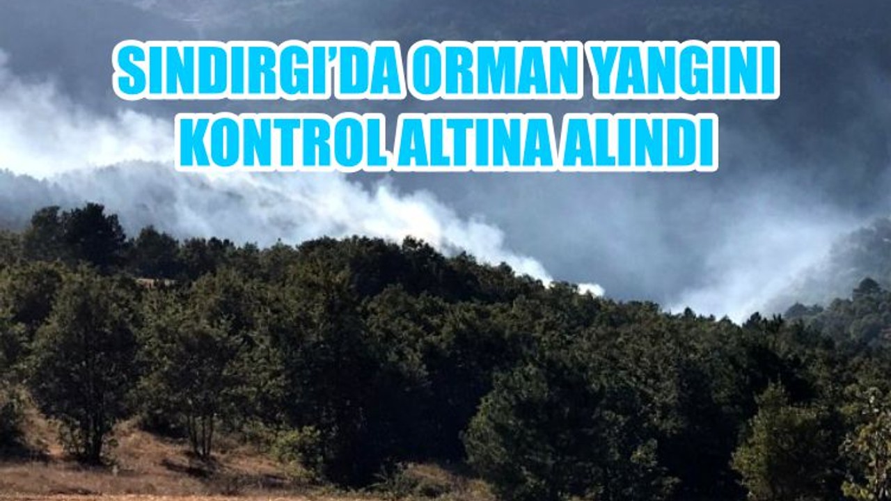 SINDIRGI'DA ORMAN YANGINI KONTROL ALTINA ALINDI