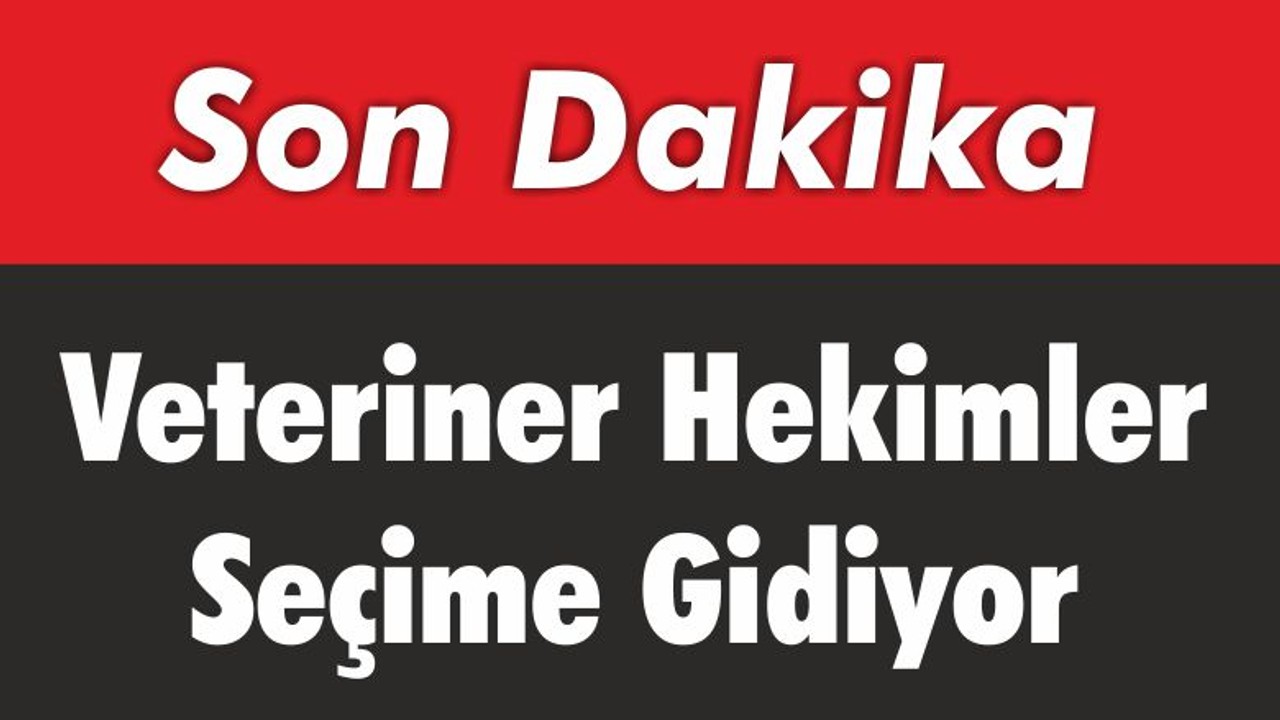 Veteriner Hekimler Seçime Gidiyor