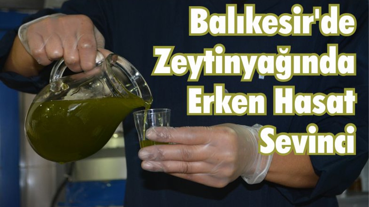 Balıkesir’de Zeytinyağında Erken Hasat Sevinci