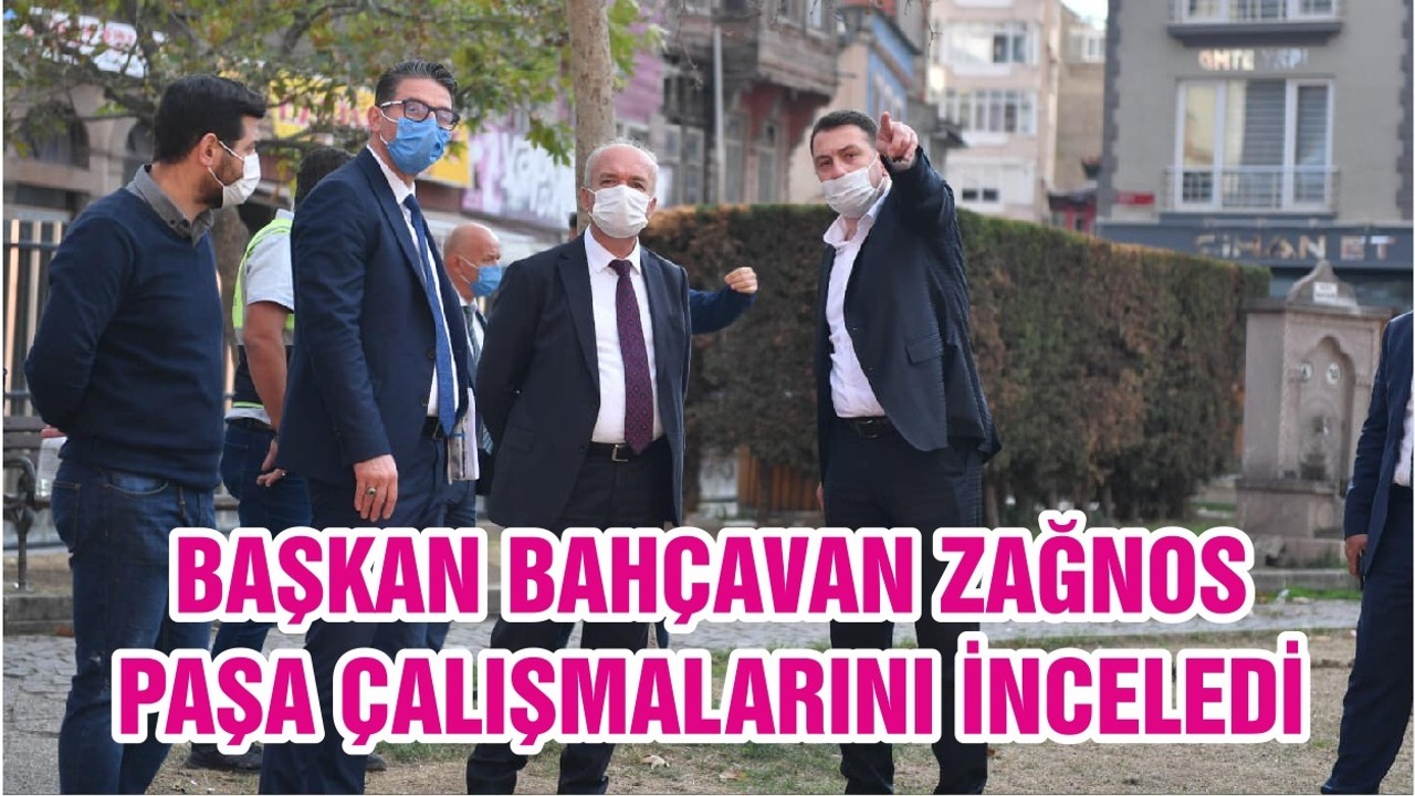 BAŞKAN BAHÇAVAN ZAĞNOS PAŞA ÇALIŞMALARINI İNCELEDİ