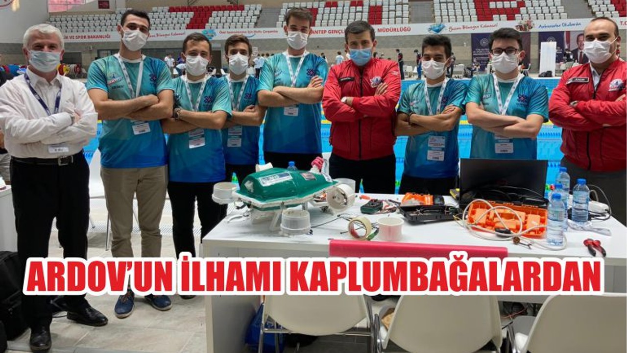 ARDOV’UN İLHAMI KAPLUMBAĞALARDAN