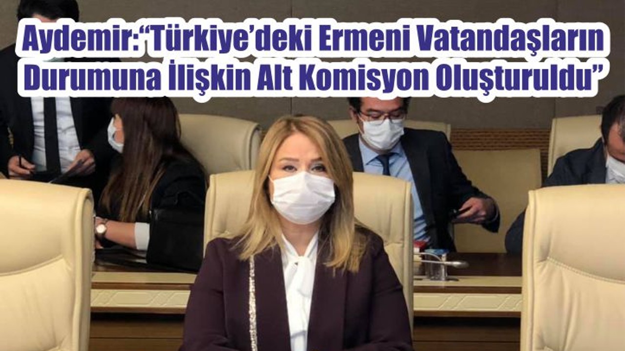 Aydemir: “Türkiye’deki Ermeni Vatandaşların Durumuna İlişkin Alt Komisyon Oluşturuldu”