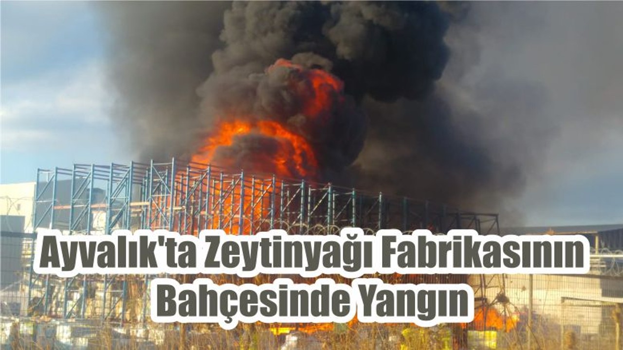 Ayvalık'ta Zeytinyağı Fabrikasının Bahçesinde Yangın
