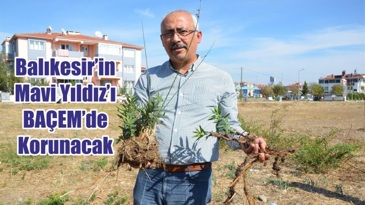 Balıkesir’in Mavi Yıldız’ı BAÇEM’de Korunacak