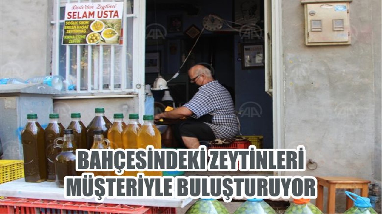 BAHÇESİNDEKİ ZEYTİNLERİ MÜŞTERİYLE BULUŞTURUYOR