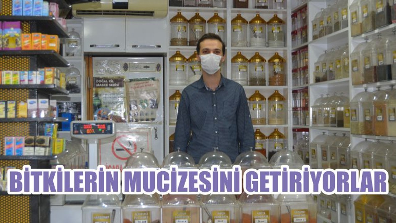 BİTKİLERİN MUCİZESİNİ GETİRİYORLAR