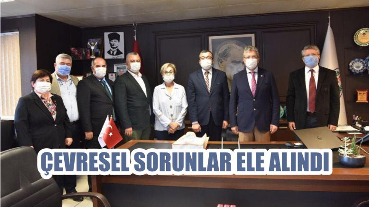 ÇEVRESEL SORUNLAR ELE ALINDI