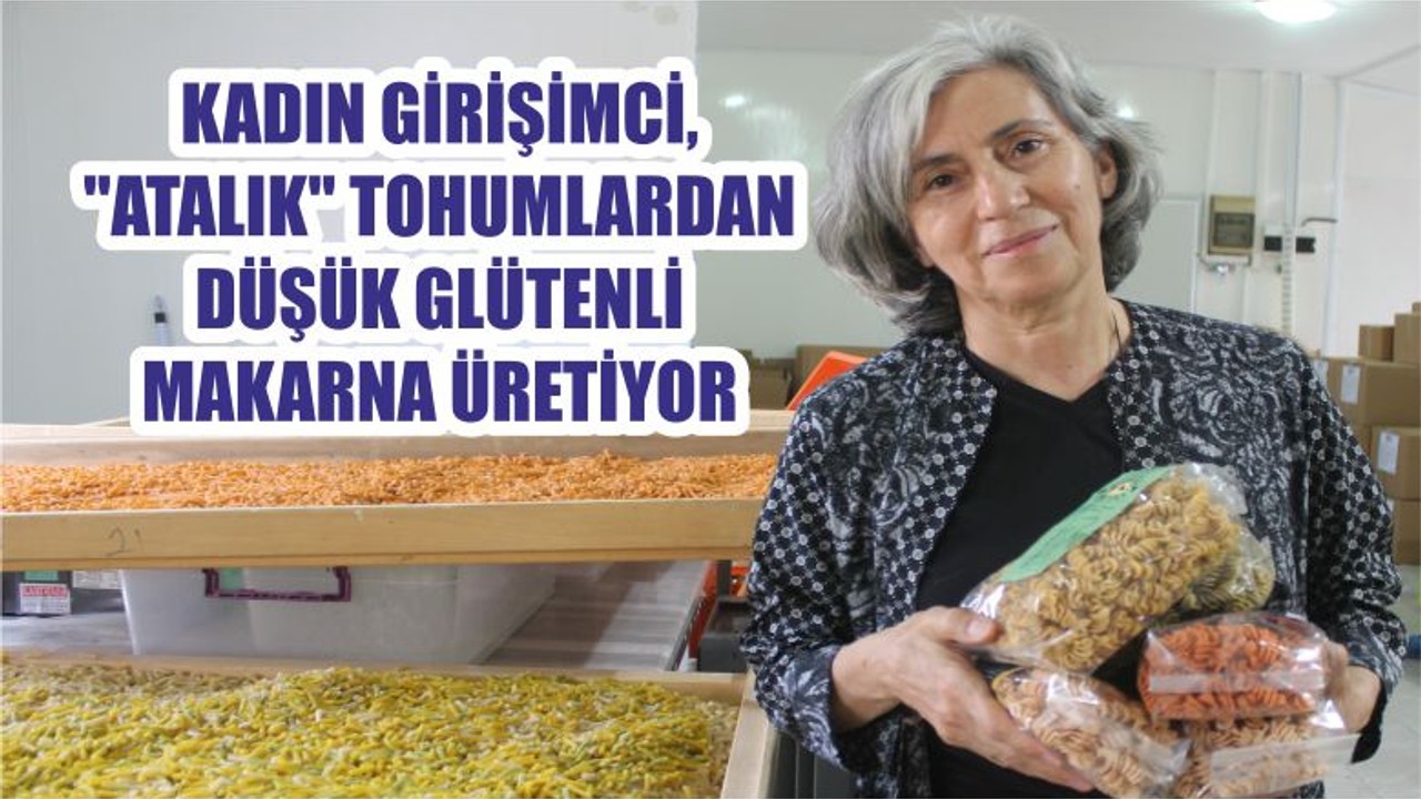 KADIN GİRİŞİMCİ, "ATALIK" TOHUMLARDAN DÜŞÜK GLÜTENLİ MAKARNA ÜRETİYOR