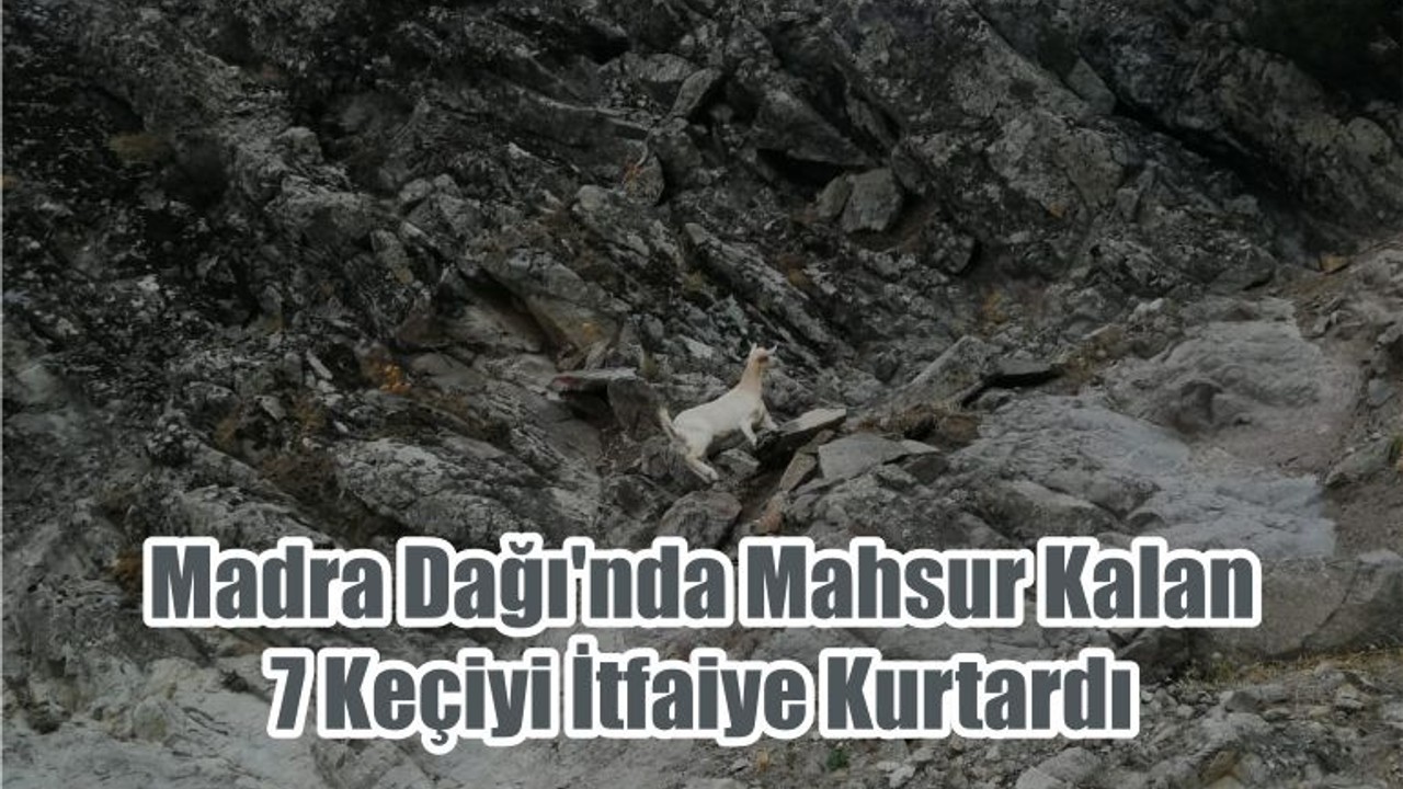Madra Dağı'nda Mahsur Kalan 7 Keçiyi İtfaiye Kurtardı