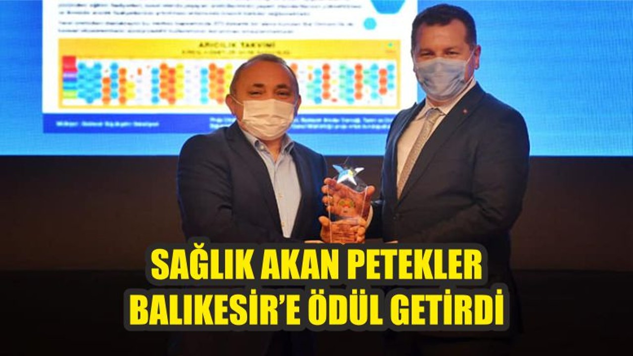 SAĞLIK AKAN PETEKLER BALIKESİR’E ÖDÜL GETİRDİ