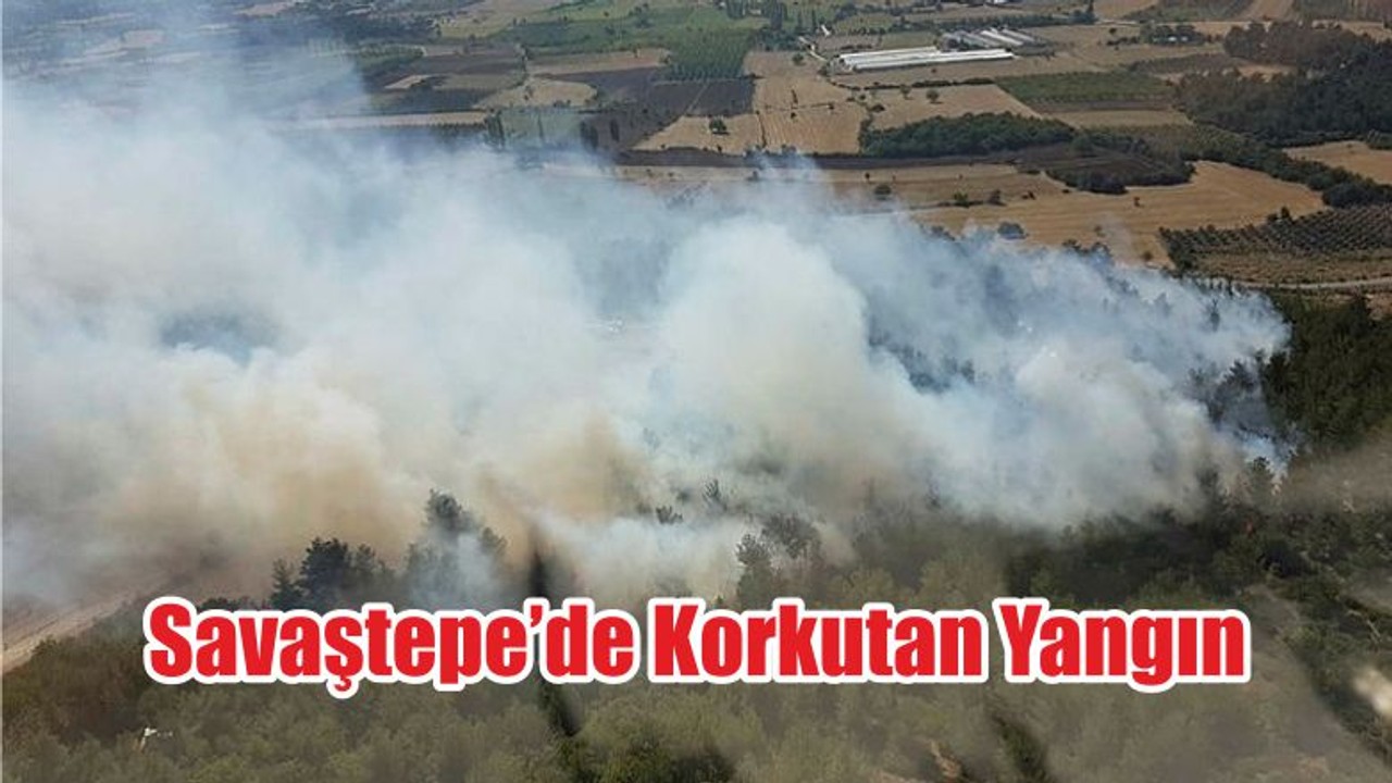 Savaştepe’de Korkutan Yangın
