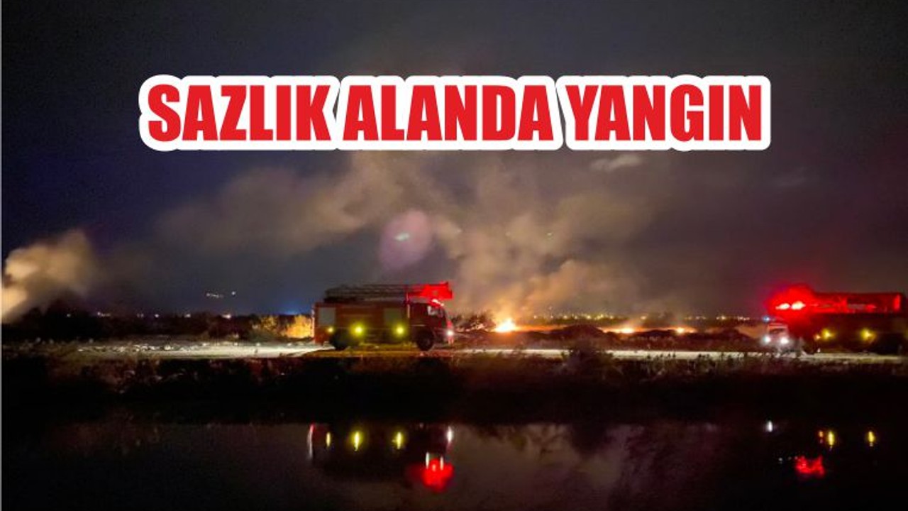 SAZLIK ALANDA YANGIN