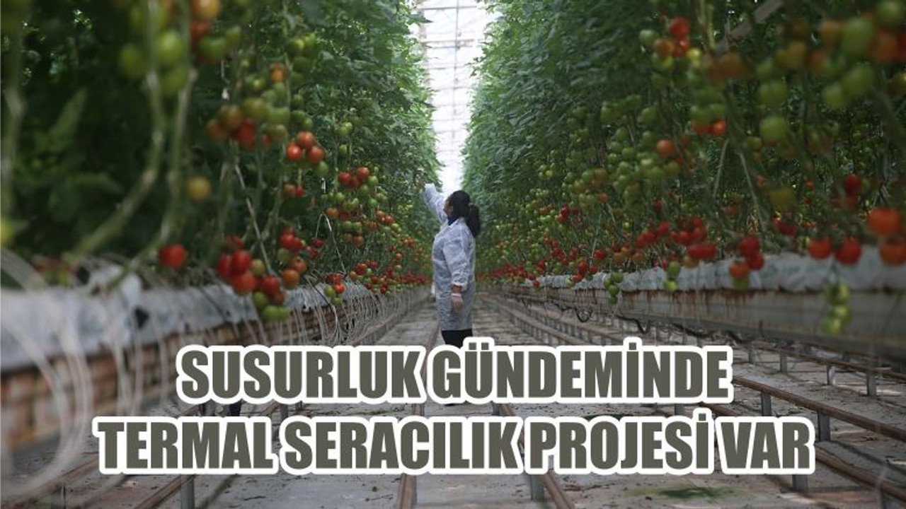 SUSURLUK GÜNDEMİNDE TERMAL SERACILIK PROJESİ VAR