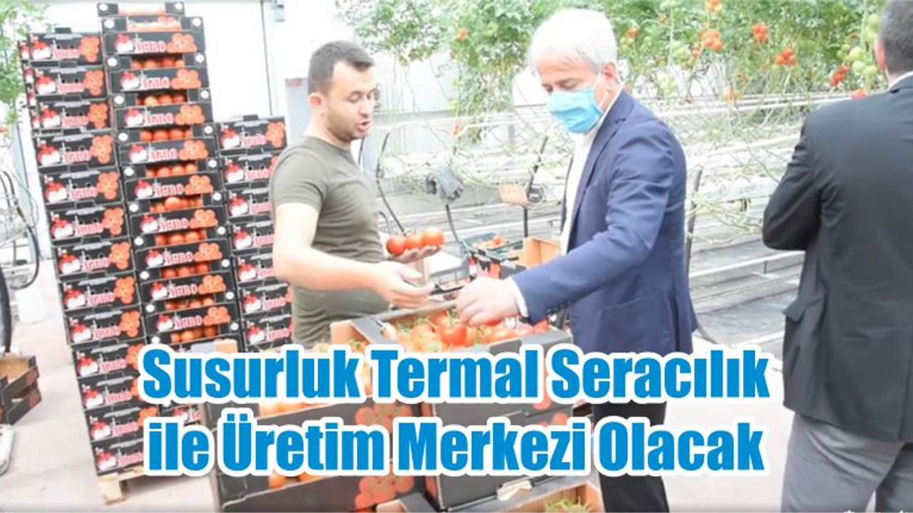 Susurluk Termal Seracılık ile Üretim Merkezi Olacak