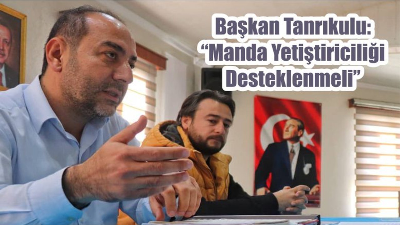 Başkan Tanrıkulu: “Manda Yetiştiriciliği Desteklenmeli”