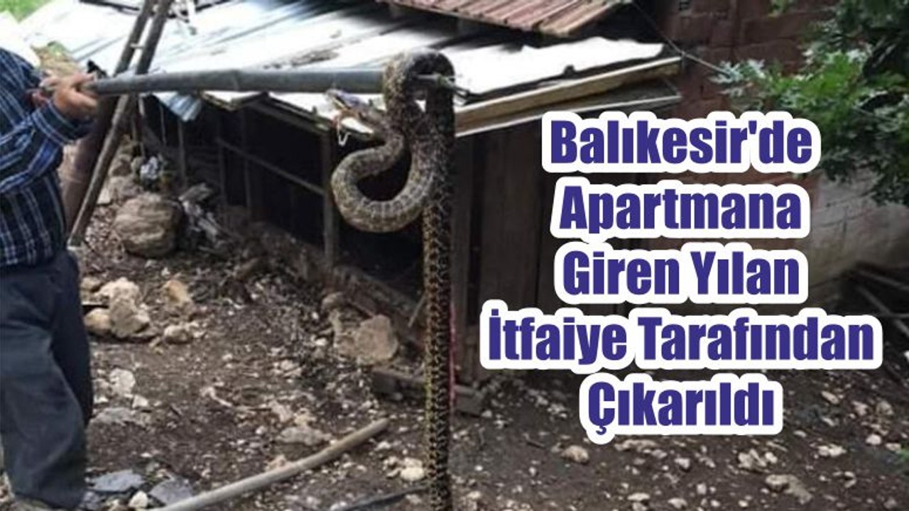 Balıkesir'de Apartmana Giren Yılan İtfaiye Tarafından Çıkarıldı
