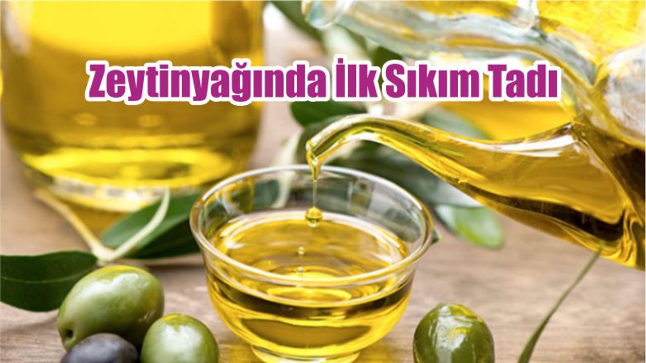 Zeytinyağında İlk Sıkım Tadı