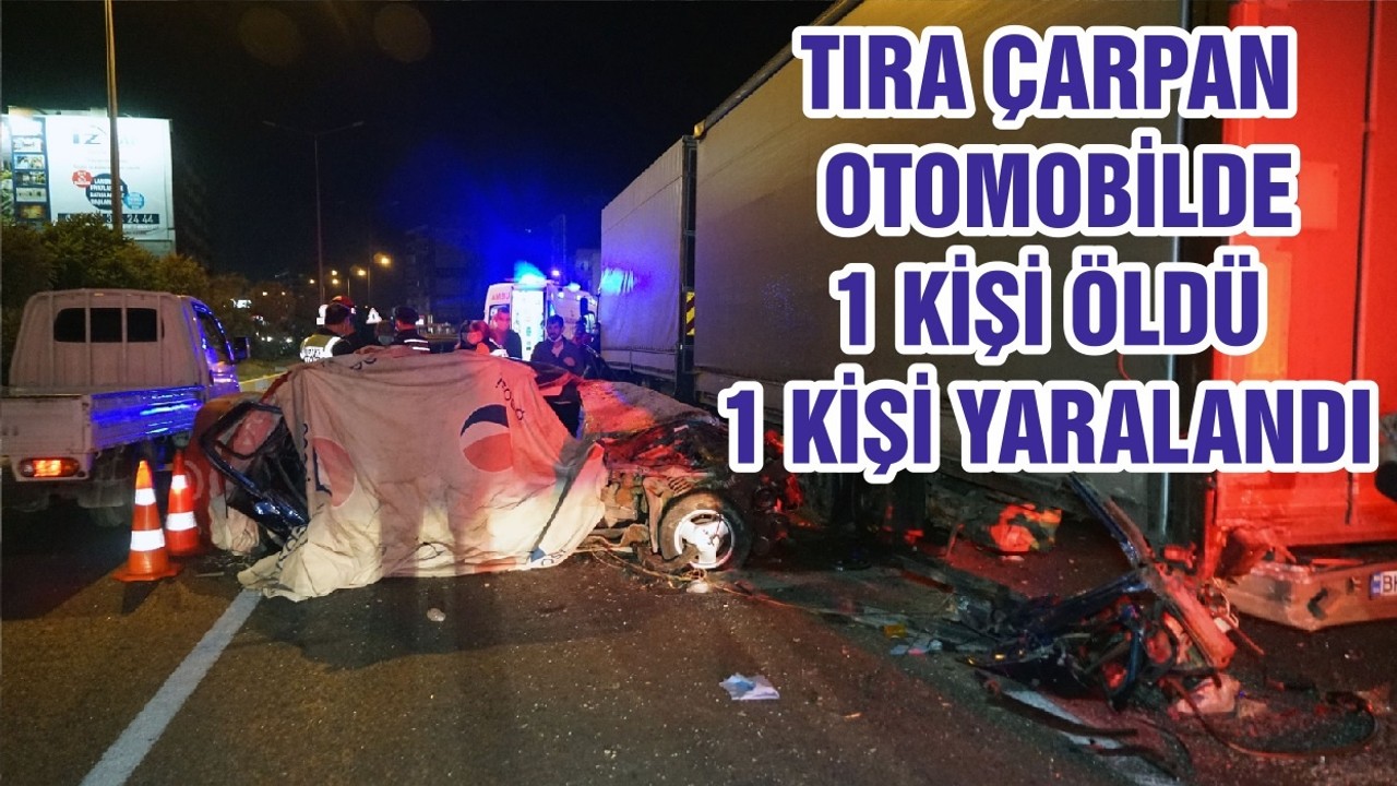 Park Halinde ki Tıra Çarptı