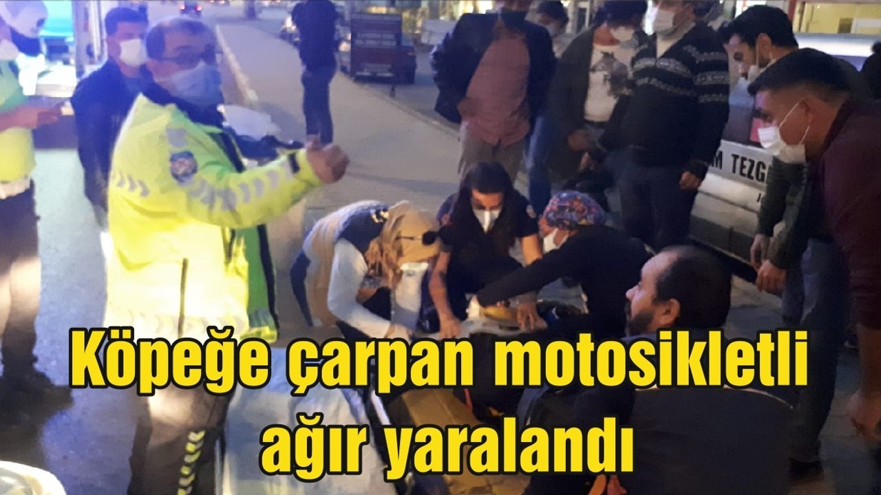 Köpeğe çarpan motosikletli ağır yaralandı