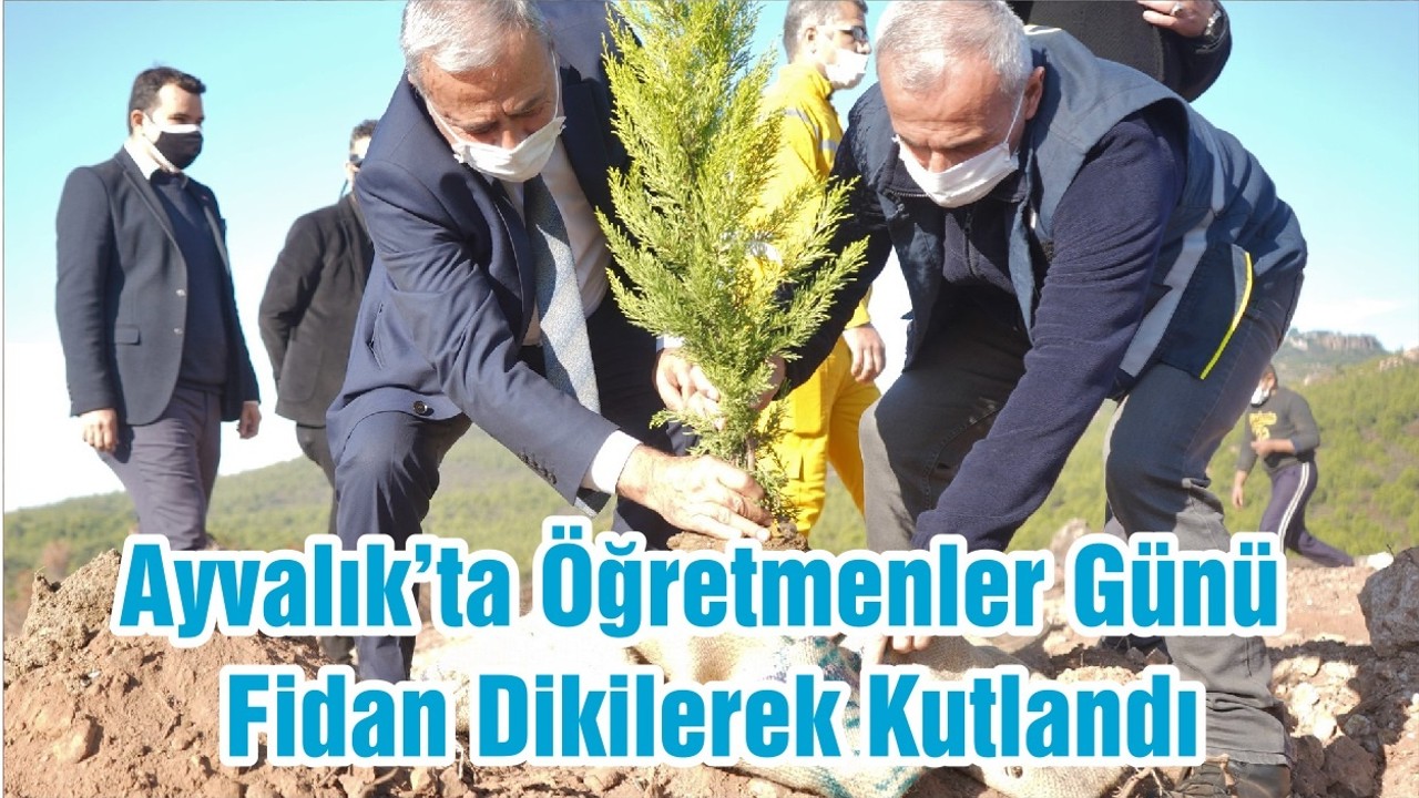 Ayvalık’ta Öğretmenler Günü Fidan Dikilerek Kutlandı