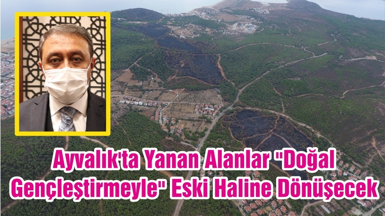 Ayvalık'ta Yanan Alanlar "Doğal Gençleştirmeyle" Eski Haline Dönüşecek