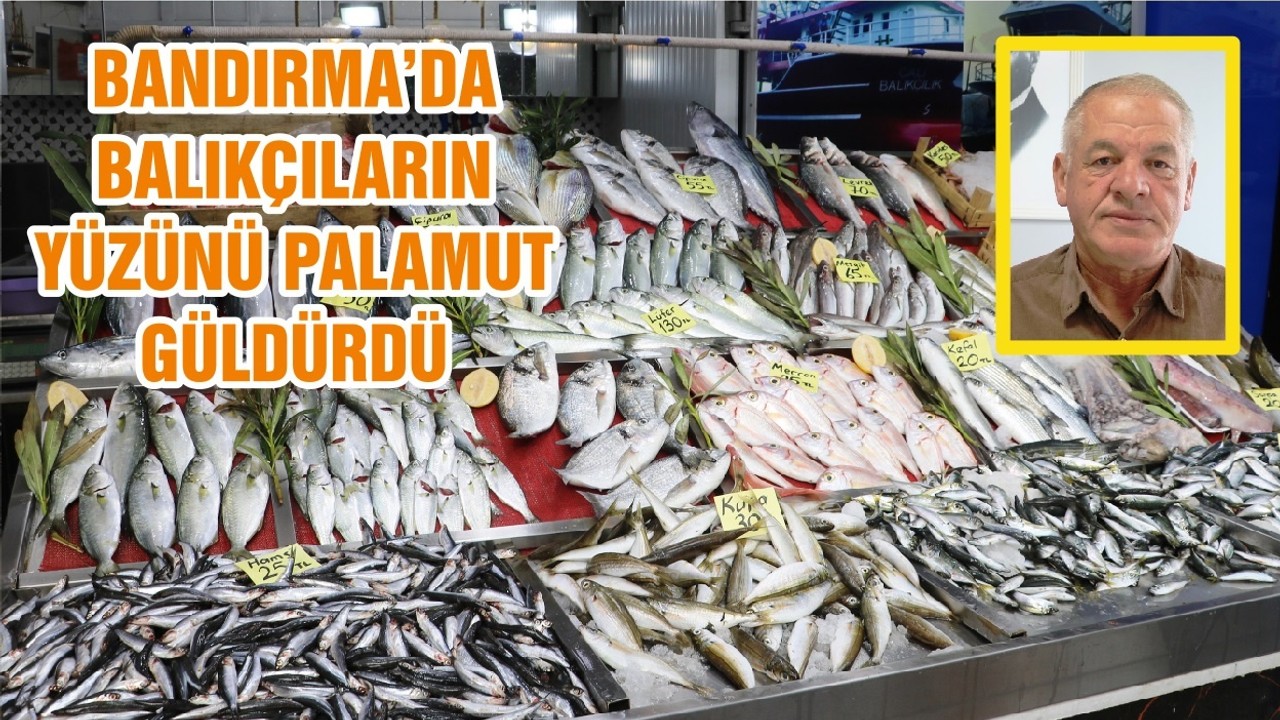 BANDIRMA’DA BALIKÇILARIN YÜZÜNÜ PALAMUT GÜLDÜRDÜ