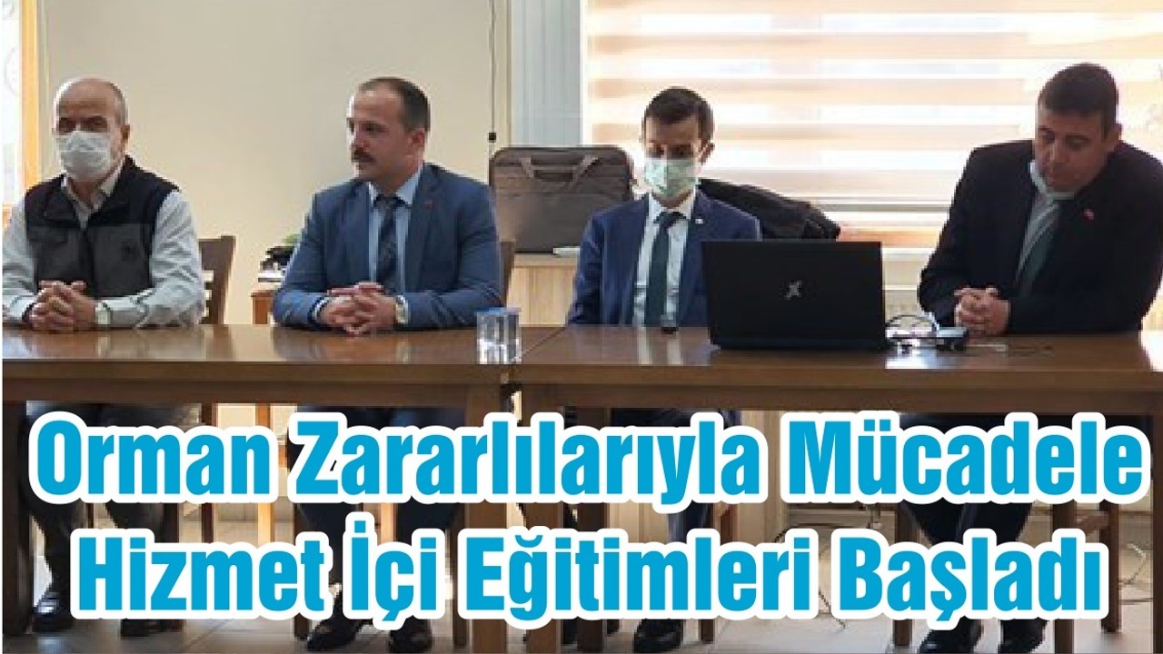 Orman Zararlılarıyla Mücadele Hizmet İçi Eğitimleri Başladı