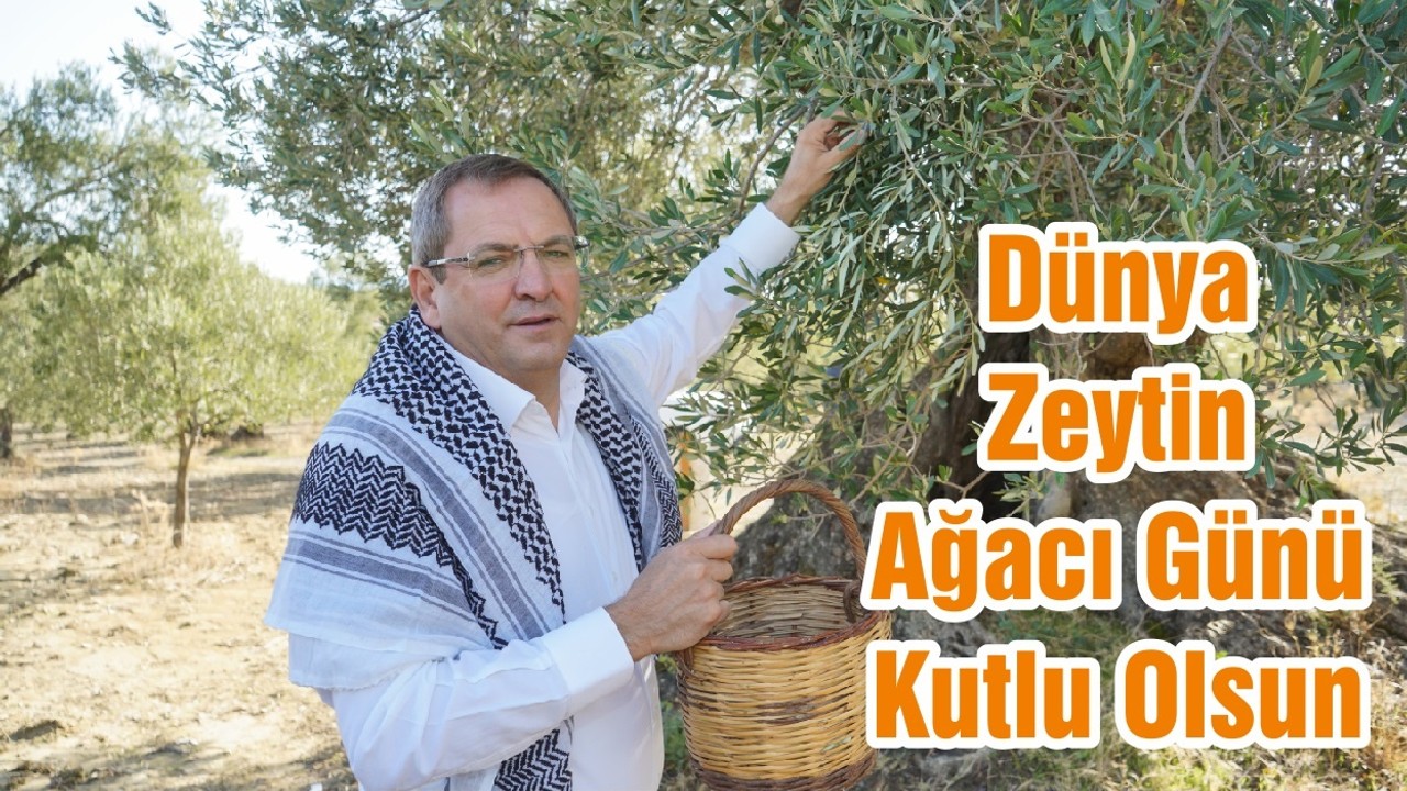 Dünya Zeytin Ağacı Günü Kutlu Olsun