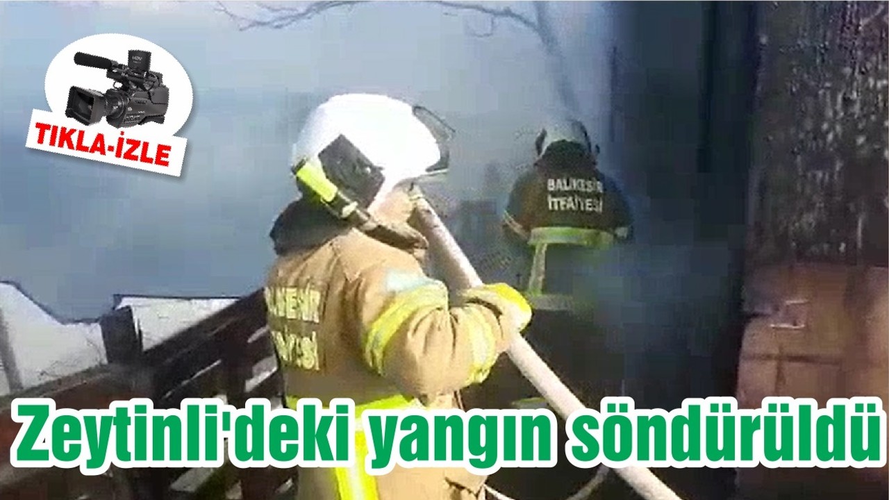 Zeytinli'deki yangın söndürüldü