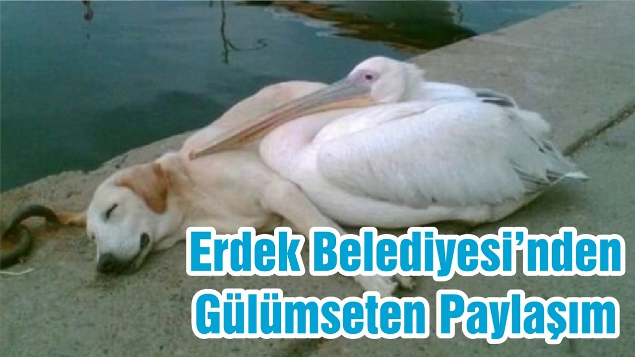 Erdek Belediyesi’nden Gülümseten Paylaşım