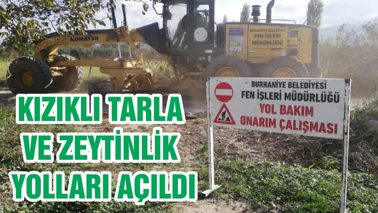 KIZIKLI TARLA VE ZEYTİNLİK YOLLARI AÇILDI
