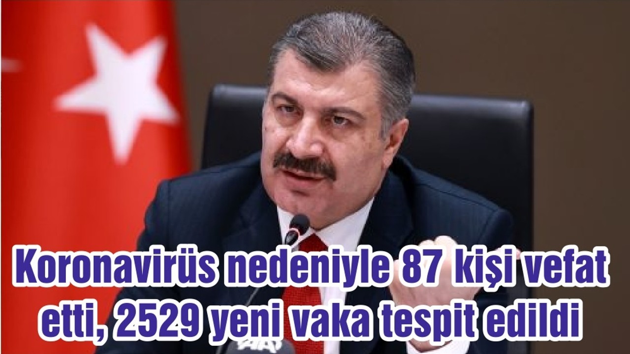 Koronavirüs nedeniyle 87 kişi vefat etti, 2529 yeni vaka tespit edildi