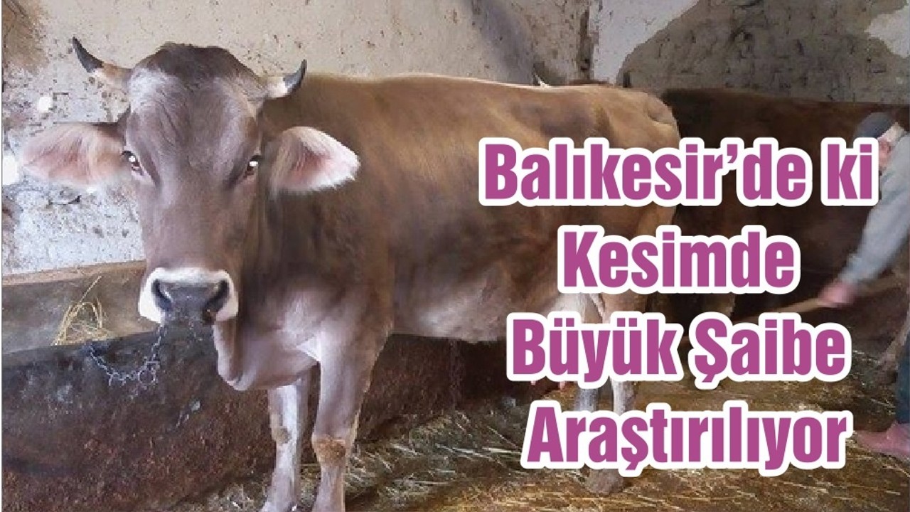 Balıkesir’de ki Kesimde Büyük Şaibe Araştırılıyor