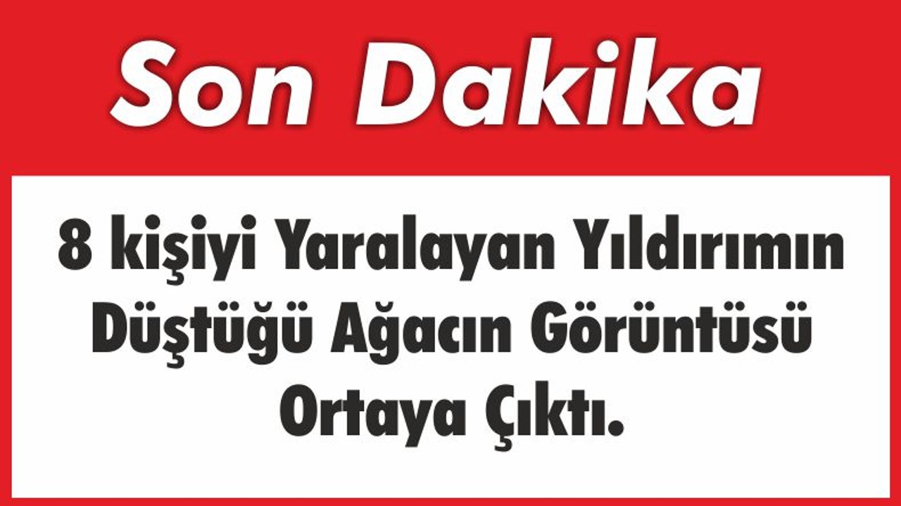 8 Kişiyi Yaralayan Yıldırım Ağacı Böyle Yarmış