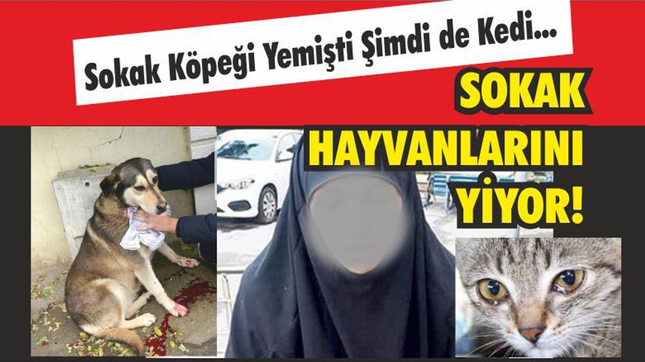Kedi Köpek Yiyen Kadın Yakalandı