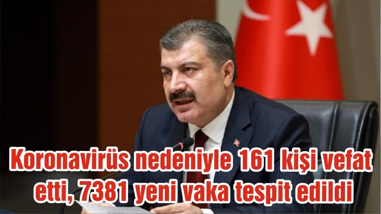 Koronavirüs nedeniyle 161 kişi vefat etti, 7381 yeni vaka tespit edildi