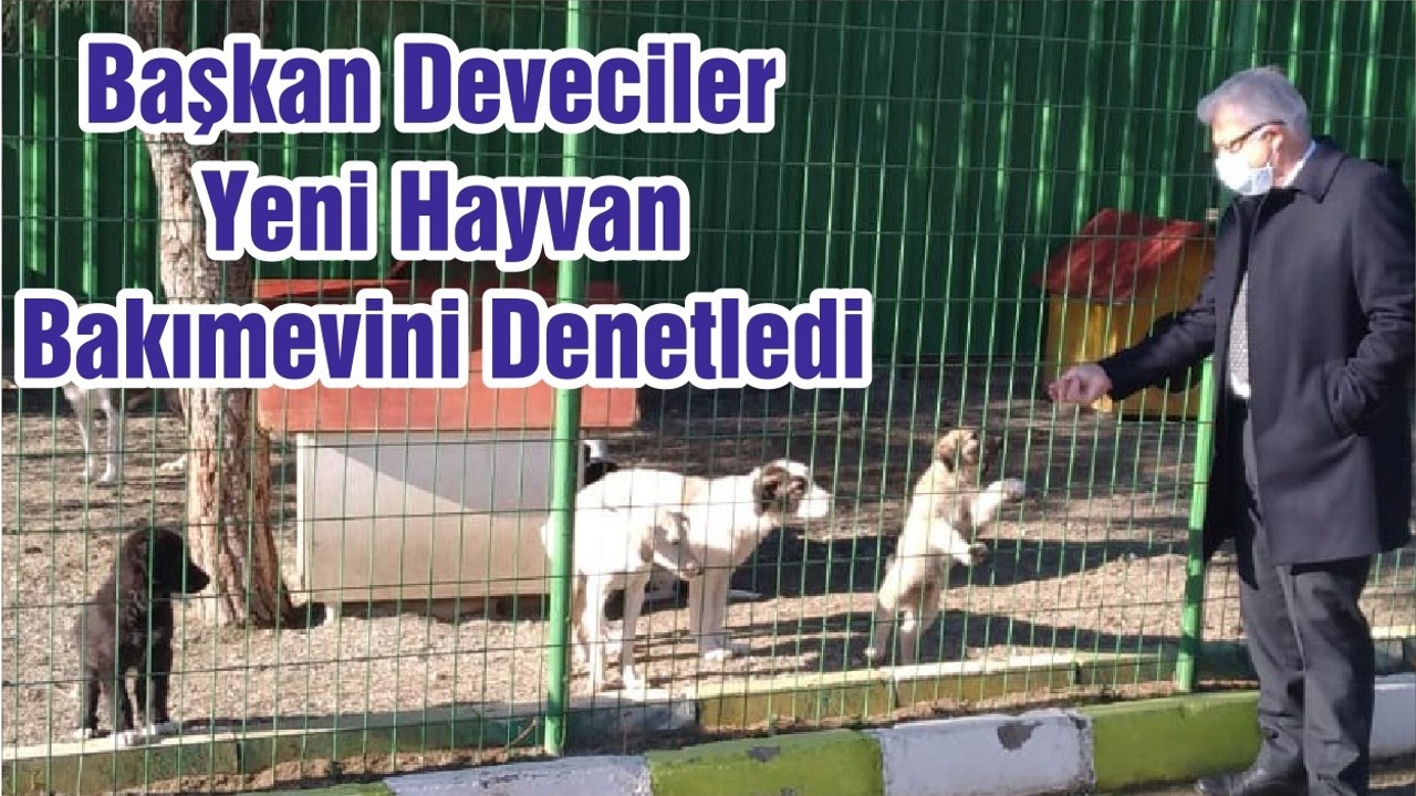 Başkan Deveciler Yeni Hayvan Bakımevini Denetledi