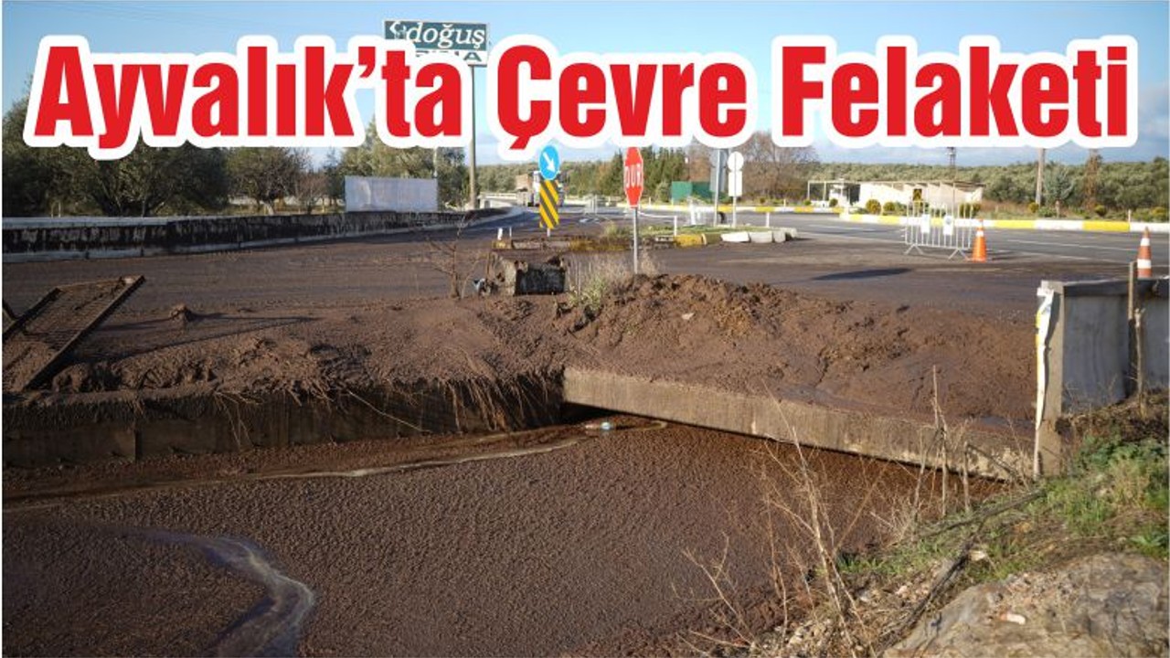 Ayvalık’ta Çevre Felaketi