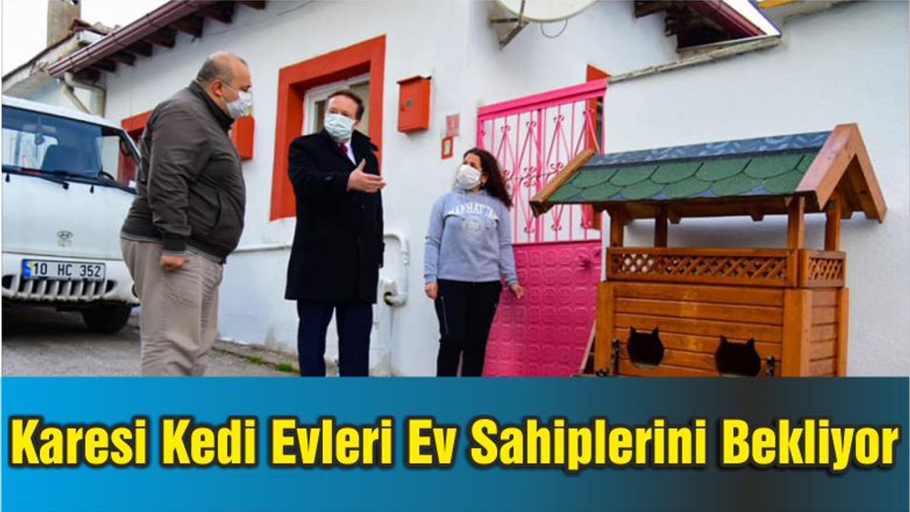 Karesi Kedi Evleri Ev Sahiplerini Bekliyor